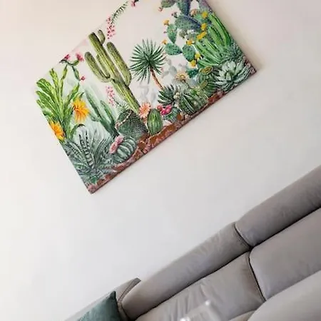 Apartment Amazing In *